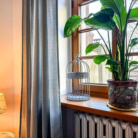 Luxury Decor & Amazing Island Views, Center! 5mins Rynek * 브로츠와프